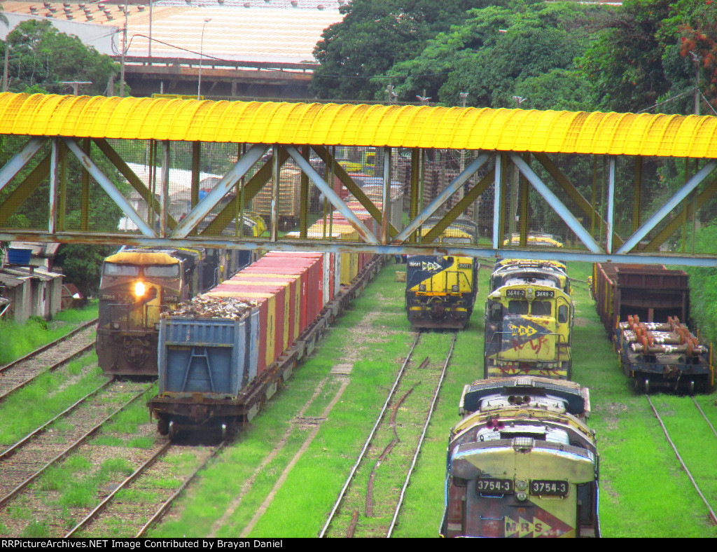 MRSL 3648